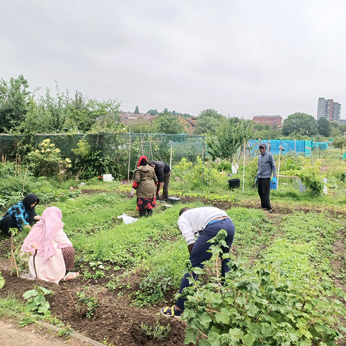 Group of individuals working in a community garden, tending to vegetables and plants on a cloudy day, showcasing urban gardening efforts.